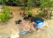 Ketika Rakyat Lebih Utama Dibanding Nyawa, Detik-detik Satgas Yonif 725/Woroagi Selamatkan Pelajar Terbawa Arus Banjir