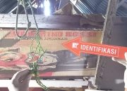 Geger Penemuan Mayat Yang Tergantung,  Ini Kata Kasi Humas Polres Palopo