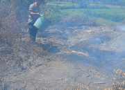 Kebakaran Lahan Di Petta Unga, Kapolsek Soreang : Mohon Warga Jangan Lalai