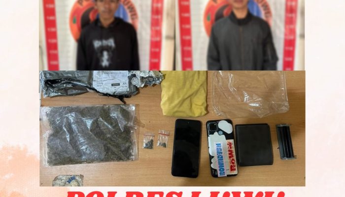 Polres Luwu Mengamankan Dua Orang Terduga Pelaku Penyalagunaan Narkotika Jenis Ganja