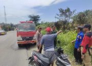 Gerak Cepat Kapolsek Pitumpanua Bersama Damkar Padamkan Kebakaran Lahan di Desa Tallesang