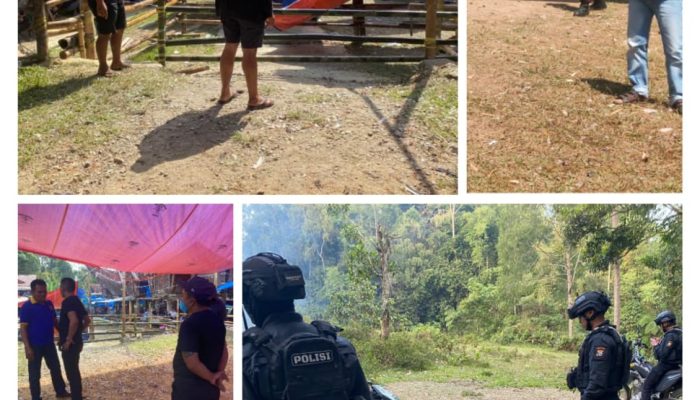 Dalam Sehari, Jajaran Polres Toraja Utara Bubarkan Praktek Sabung Ayam di 4 Lokasi