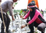Penghijauan Sejak Dini, Polres Palopo Tanam 1000 Pohon Mangrove di Pantai Pasir Putih Salekoe