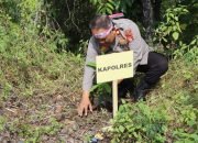 Polres Luwu Dan Polsek Jajaran Melaksanakan Penghijauan Penanaman 1231 Pohon