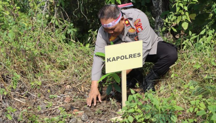 Polres Luwu Dan Polsek Jajaran Melaksanakan Penghijauan Penanaman 1231 Pohon