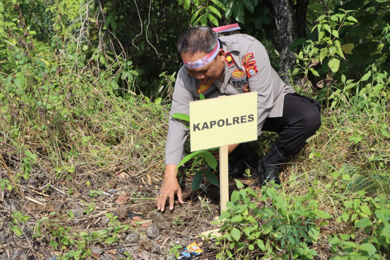 Polres Luwu Dan Polsek Jajaran Melaksanakan Penghijauan Penanaman 1231 Pohon