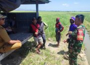 Mengatasi Krisis Air: Babinsa Serda Herman Amal Terjun ke Sawah-sawah Desa Mojong