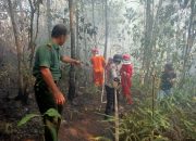 Sijago Merah Melahap Lahan Warga Hingga 5 Hektare, ini Pesan Kapolres Tana Toraja