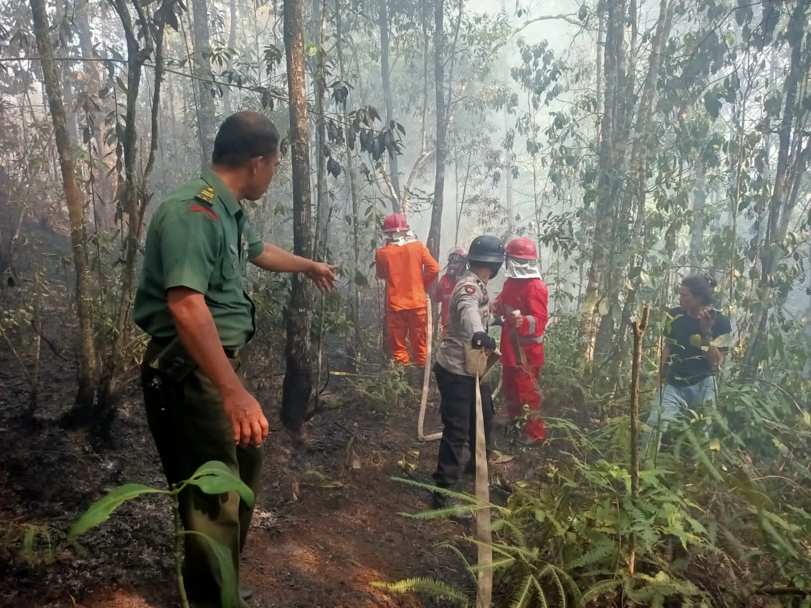 Sijago Merah Melahap Lahan Warga Hingga 5 Hektare, ini Pesan Kapolres Tana Toraja