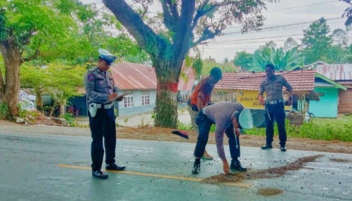 Pejalan Kaki Meninggal Dunia Usai Ditabrak, Ini Kronoginya