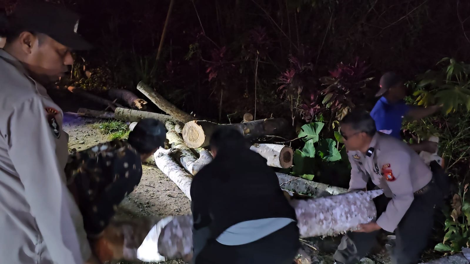 Sigap Personil TNI - Polri Bersama Warga Evakuasi Pohon Tumbang Di Jalan Poros Makale - Rantepao