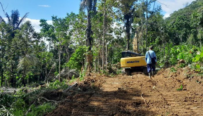 Perintisan Jalan Tani oleh Satgas TMMD Ke-118 Kodim 1420/Sidrap Mulai Terlihat Hasilnya