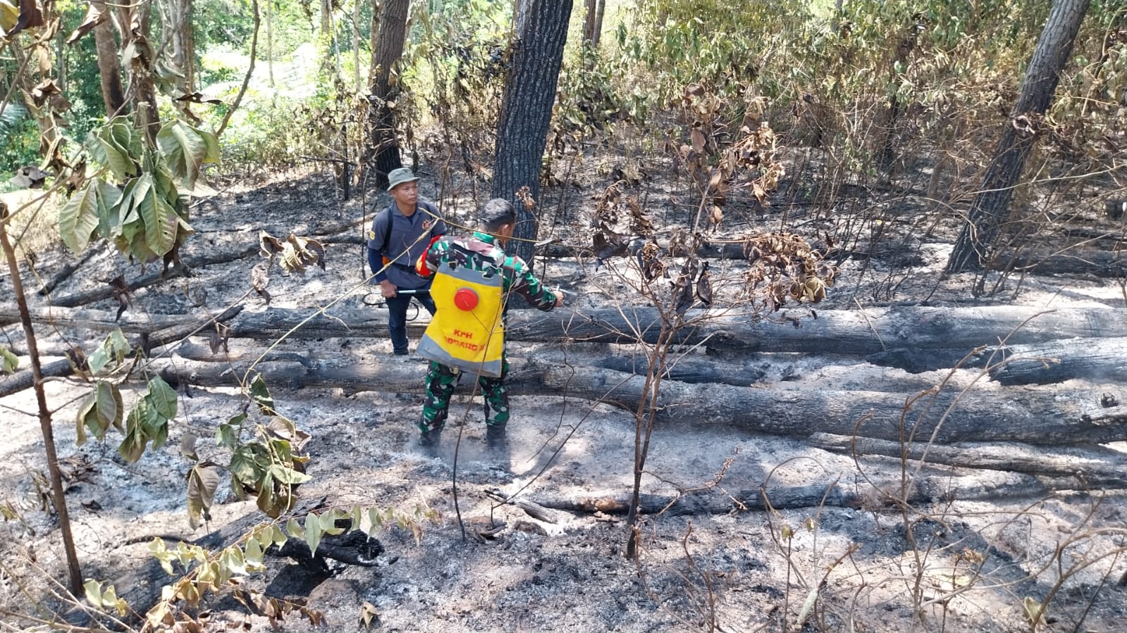 Sinergitas TNI/Polri Bersama Dinas Kehutanan Berhasil Cegah Meluasnya Karhutla Di Rantebua Toraja Utara
