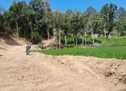 Jalan Tani Segmen 1 di Dusun 3 Paraja, Desa Kalempang, Mendekati Selesai