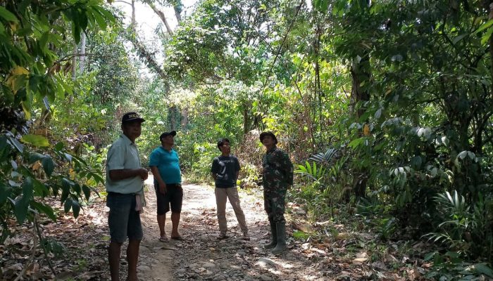 Babinsa Desa Karebosi Ajak Warga Sosialisasi Bahaya Kebakaran Hutan di Lokasi TMMD