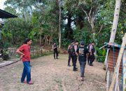 Polres Tana Toraja Kembali Mengagalkan Aksi Judi Sabung Ayam di Dua Lokasi