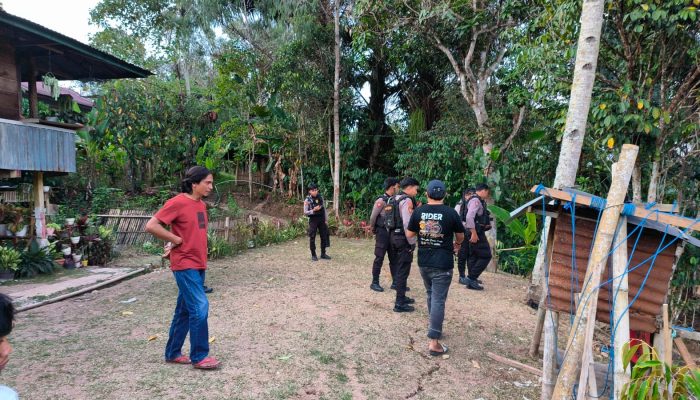 Polres Tana Toraja Kembali Mengagalkan Aksi Judi Sabung Ayam di Dua Lokasi
