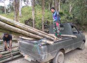 Memanen Bambu untuk Proyek Sasaran Fisik TMMD di Dusun 3 Paraja, Desa Kalempang