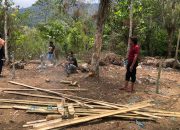 Lagi – Lagi Polres Tana Toraja Gagalkan Rencana Aksi Judi Sabung Ayam