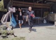 Aniaya Karyawan Mini Market, Pria Berinisial JB Diamankan Resmob Polres Toraja Utara