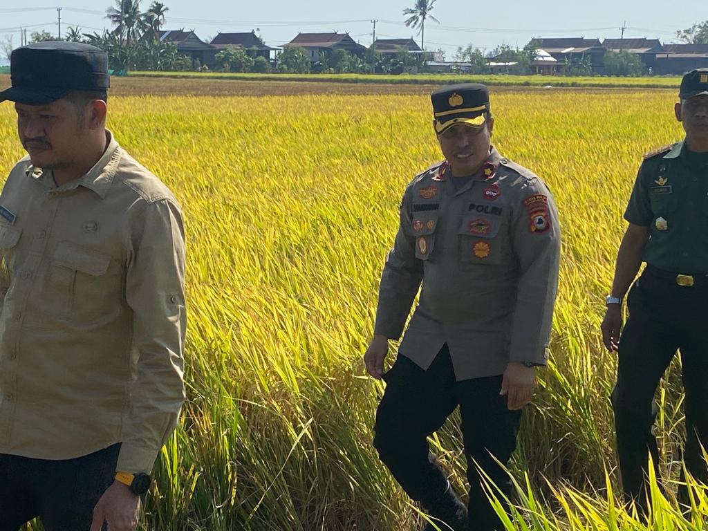 Kapolsek Watang Sawitto Hadiri Pesta Panen Di Lingkungan Madallo, Ajak Masyarakat Wujudkan Pemilu Damai 2024