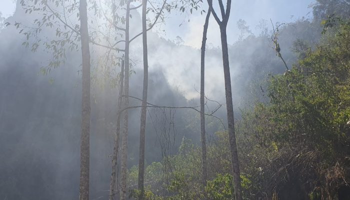 Naas Bermaksud Membuka Lahan Dengan Membakar, Kebun Tetangga Seluas 1 Hektar Ludes Dilahap Sijago Merah
