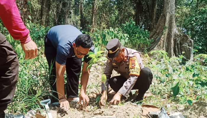 Polres Luwu Dan Polsek Jajaran Melaksanakan Penanaman Bibit Pohon 1025 Secara Serentak Untuk Menjaga Kelestarian Lingkungan