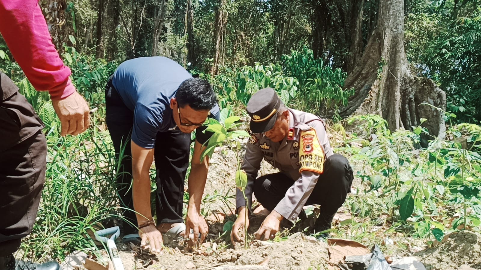 Polres Luwu Dan Polsek Jajaran Melaksanakan Penanaman Bibit Pohon 1025 Secara Serentak Untuk Menjaga Kelestarian Lingkungan
