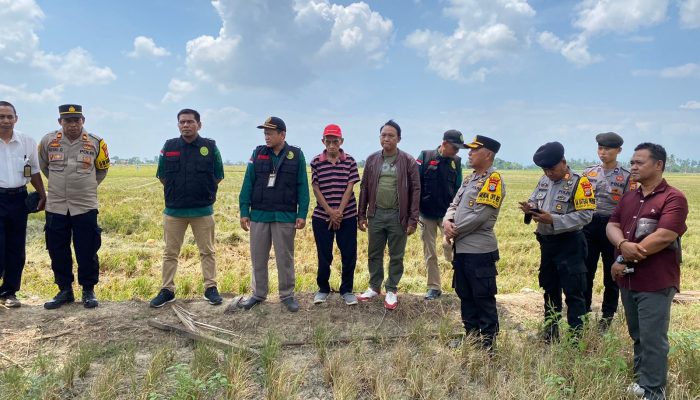 Kapolres Wajo Turunkan Puluhan Personel Untuk Pengamanan Eksekusi Lahan Persawahan di Lompo Pattolo