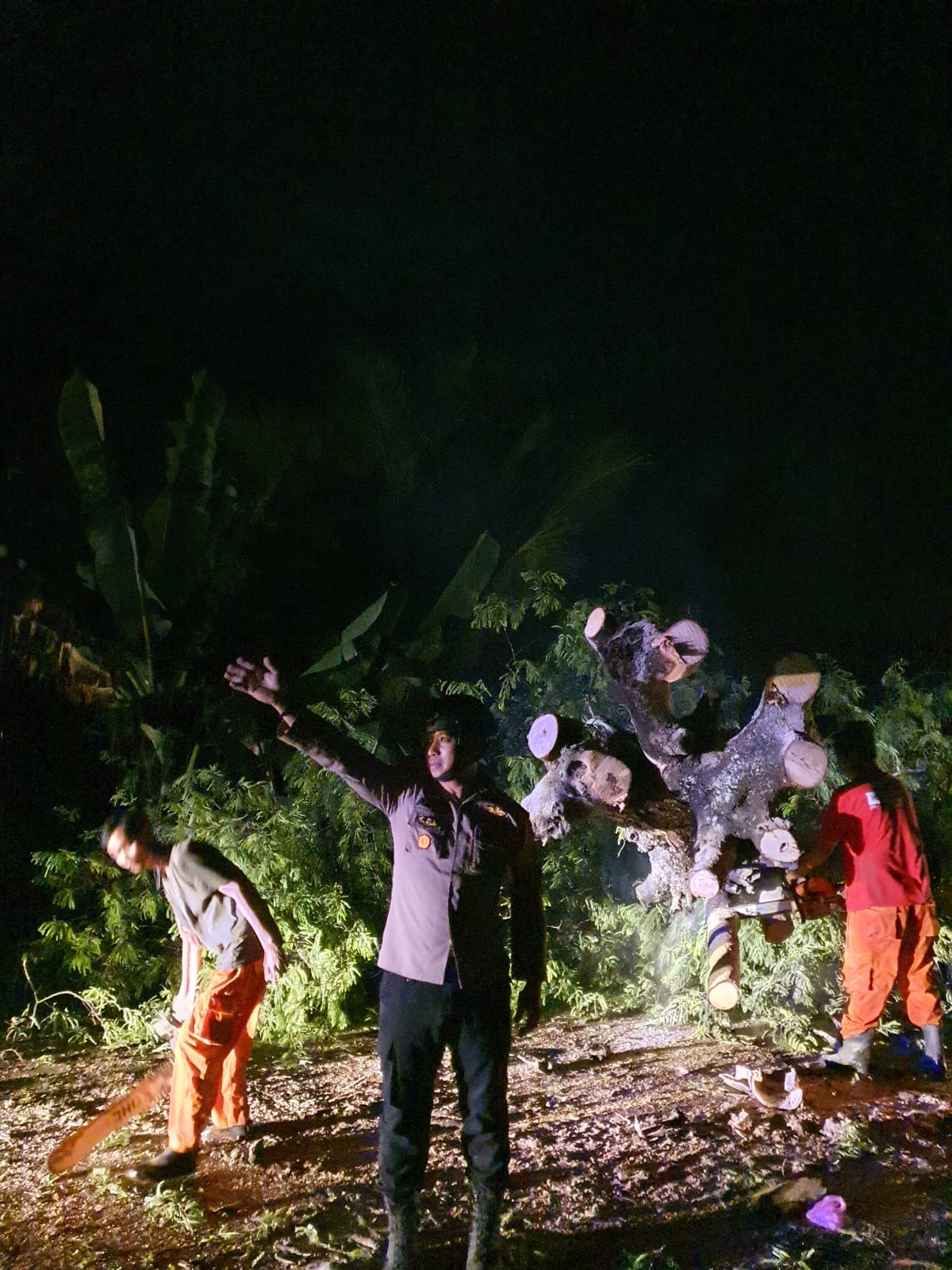 Kapolsek Sabbangparu Polres Wajo bersama Tim PLN Melakukan Evakuasi Pohon Tumbang Yang Menutupi Badan Jalan