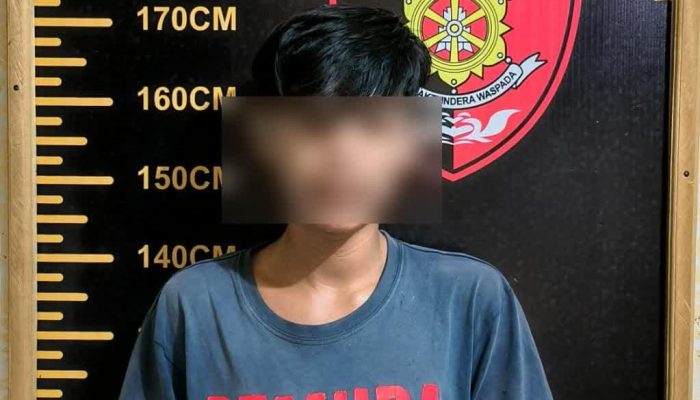 Unit Resmob Polres Tana Toraja Bekuk Terduga Pelaku Persetubuhan Anak Dibawah Umur