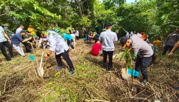 Gerakanan Penanaman Pohon , Polres Palopo Bersama Forkopimda
