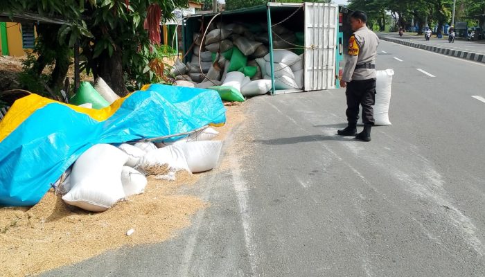 Sopir Ngantuk, Truk Pengangkut 10 Ton Gabah Terguling di Maros