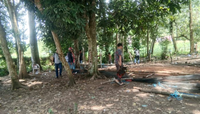 Polres Palopo Bubarkan Aktivitas Judi Sabung Ayam