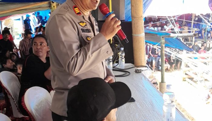 Hargai Ritual Adat, Begini Cara Polres Toraja Utara Cegah Perjudian Saat Adu Kerbau Di Tallunglipu