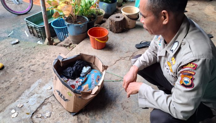 Warga Moncongloe Maros Digemparkan Penemuan Bayi di Tumpukan Sampah
