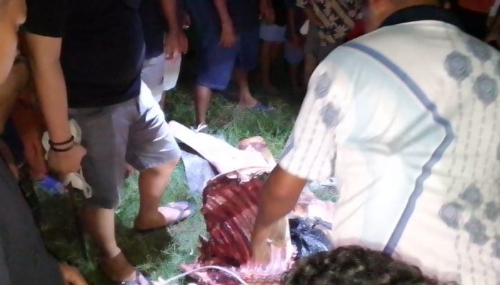 Seorang Pemilik Rumah Kebun Di Jeneponto Mengamankan Diri Di Polsek Binamu, Karena Adanya Kasus Pencurian Kuda Dengan Modus Potong Ditempat