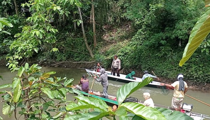 Polsek Telluwanua Buru Seekor Buaya Yang Berkeliaran Di Pemukiman Warga