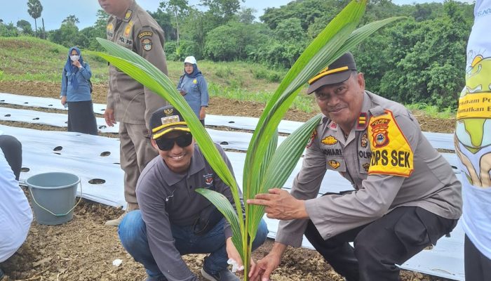 Mewakili Kapolres Wajo,Kapolsek Majauleng Melakukan Penanaman Cabai,Kelapa dan Sukun Secara Simbolis
