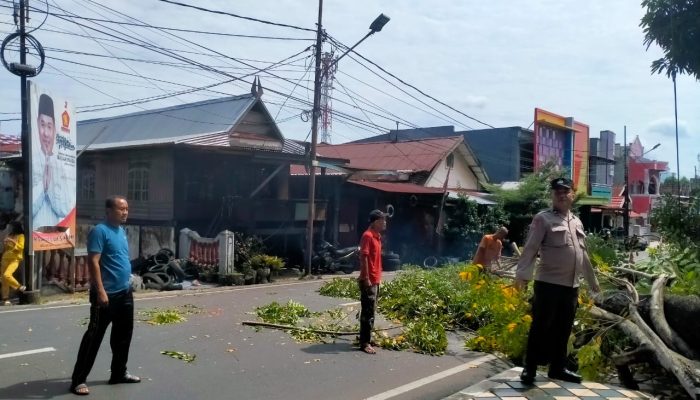Personil Polsek Ujung Evakuasi Pohon Tumbang Akibat Angin Kencang