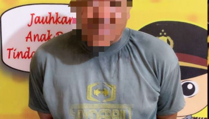 Polres Luwu Tangkap Ayah Yang Tega Cabuli dan Setubuhi Anak Tirinya