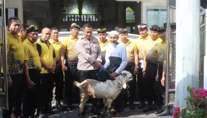 Kapolres Bandara Ngurah Rai Serahkan Hewan Qurban kepada Pengurus Masjid Nurul Huda