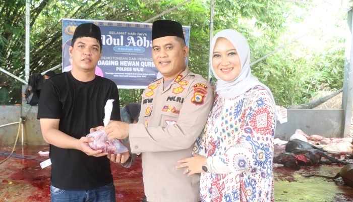 Kapolres Wajo Bersama Ketua Bhayangkari Pimpin Pelaksanaan Pemotongan dan Pembagian Daging Kurban Ke Masyarakat