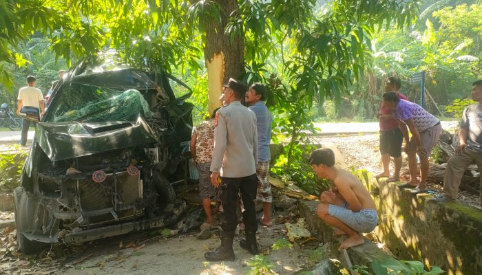 Polsek Pamboang Amankan Lokasi Laka Tunggal di Kecamatan Pamboang: Toyota Fortuner Tabrak Pohon Mangga