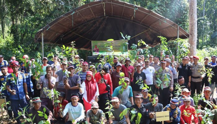 Sambut HUT Bhayangkara Ke-78, Polres Luwu Laksanakan Penanaman 800 Bibit Pohon