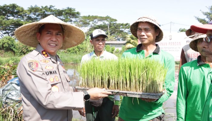 Hari Bhayangkara ke 78, Kapolres Klungkung bersama PJU Melaksanakan Ketahanan Pangan Di Subak Pegatepan Desa Gelgel