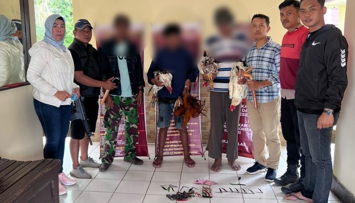 Kapolsek Lamuru Polres Bone Pimpin Penggerebekan Sabung Ayam di Cangiloe Desa Barakkae