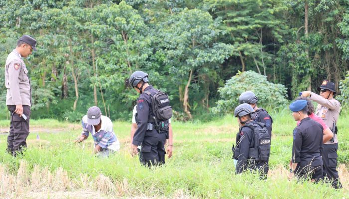 Polres Tator Dampingi Tim Gegana Brimob Polda Sulsel, Musnahkan Granat Temuan Warga Rembon