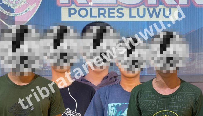 Satreskrim Polres Luwu Amankan 5 Pelaku Cabul, Dua Diantaranya Masih Berstatus Pelajar
