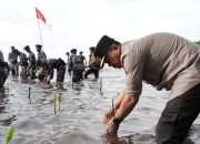 Tanam Puluhan Ribu Pohon Mangrove, Kapolda Sulbar Wujudkan Semangat Kemerdekaan dan Dukung Pelestarian Lingkungan